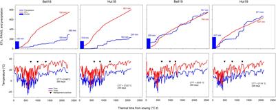 Modulation of Wheat Yield Components in Response to Management Intensification to Reduce Yield Gaps